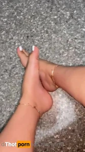 16323361