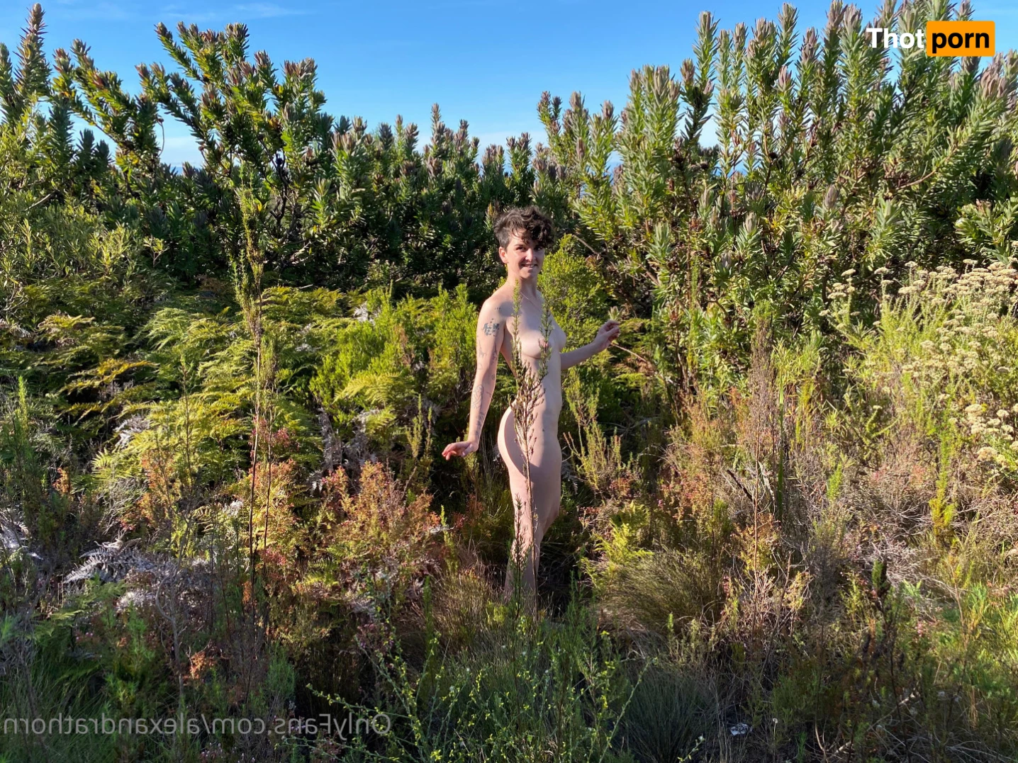 Alexandra Thorn 6466969