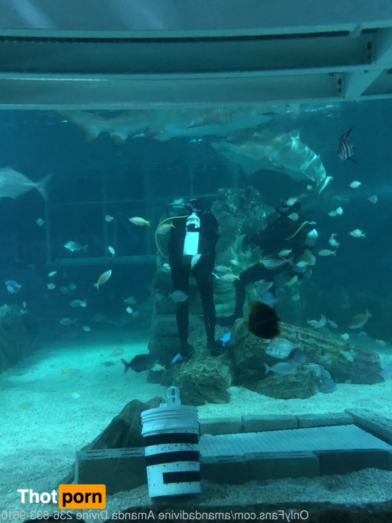 AMANDA DIVINE 7411511