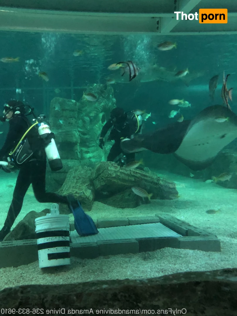 AMANDA DIVINE 7411693