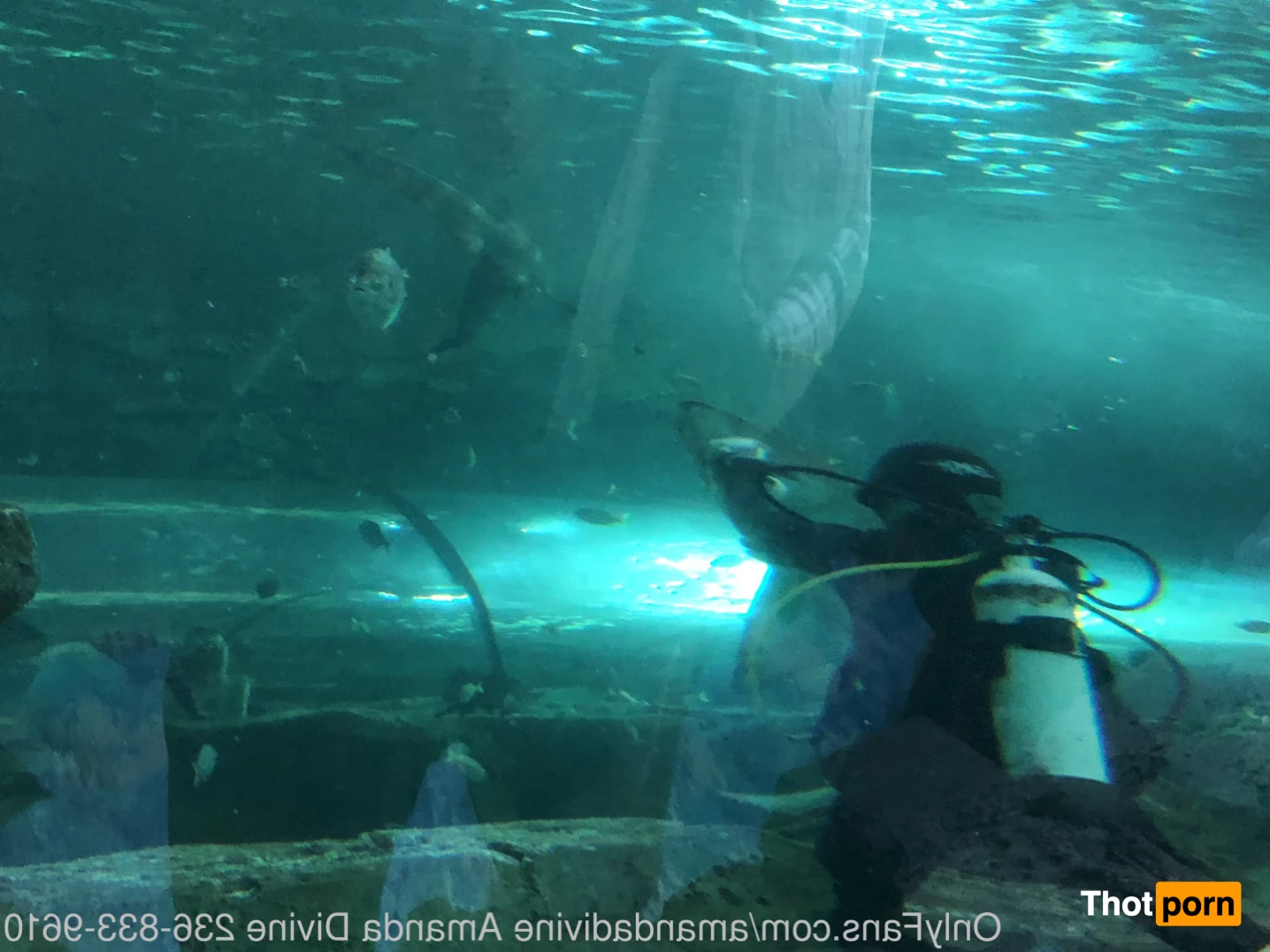 AMANDA DIVINE 7411843