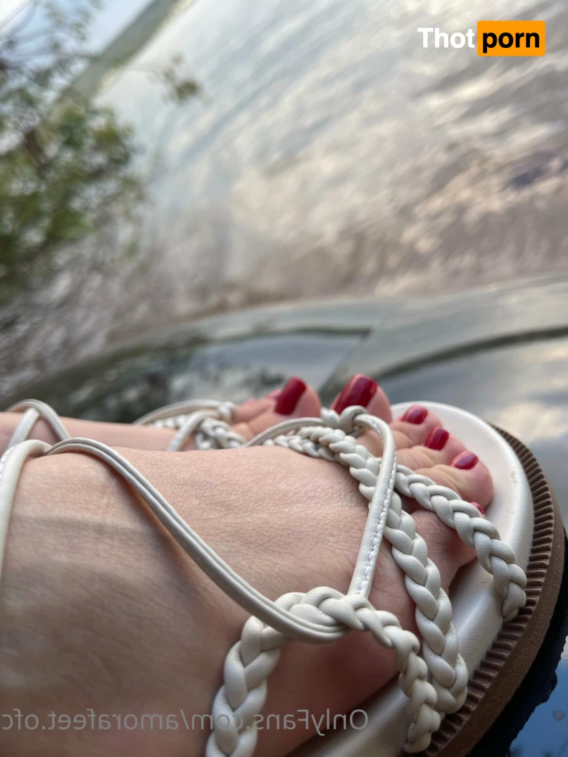 Pezinhos da Amora 7576618