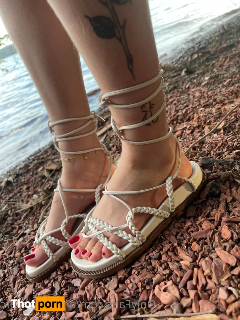 Pezinhos da Amora 7576842