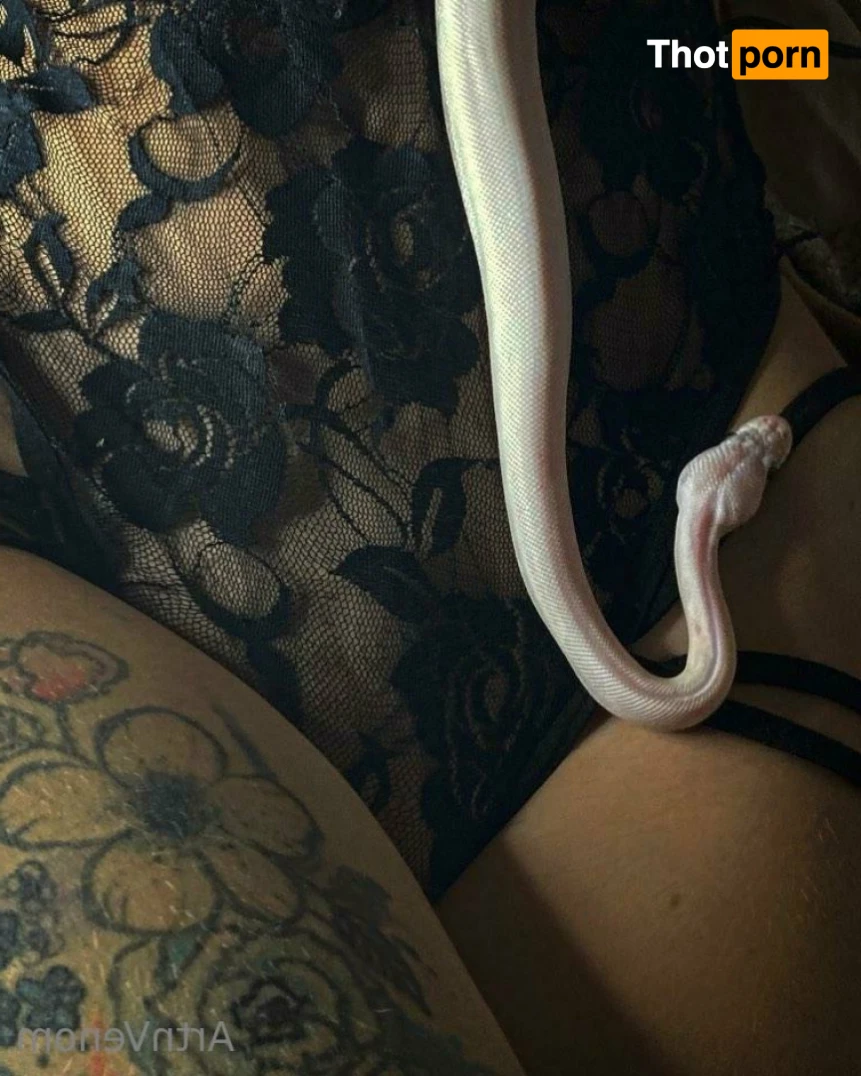 Art•Venom 14777570