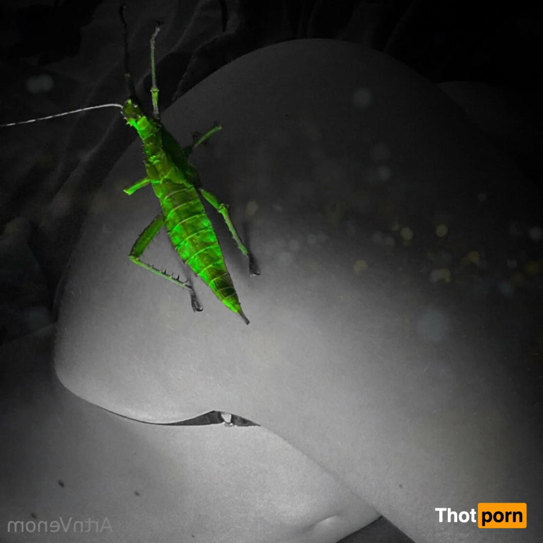 Art•Venom 14777575