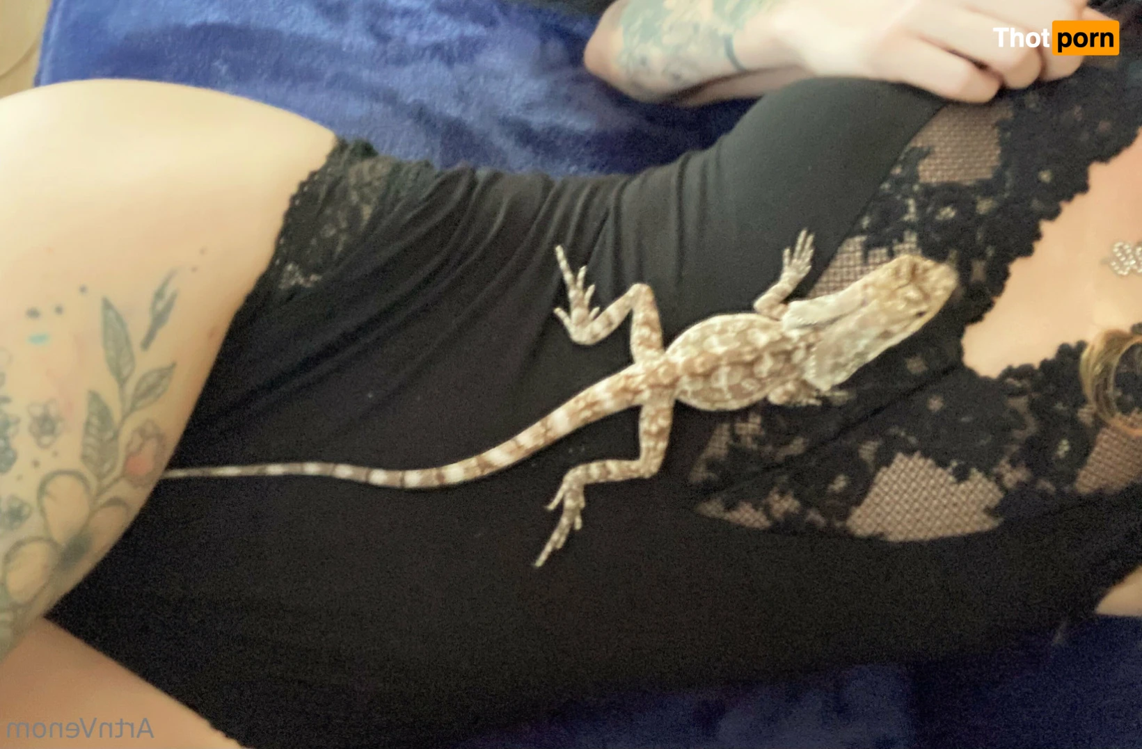 Art•Venom 14915117