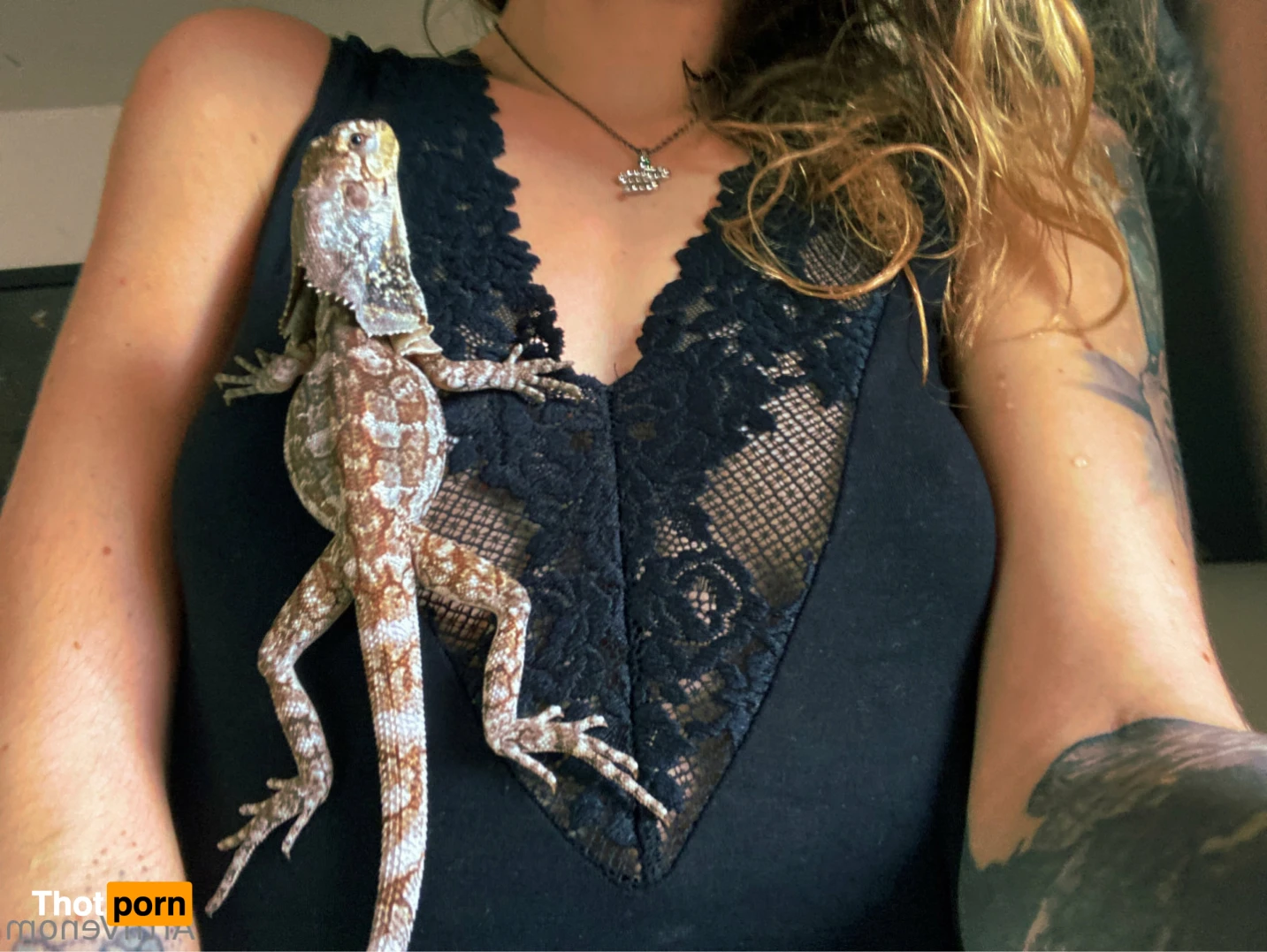 Art•Venom 14915343