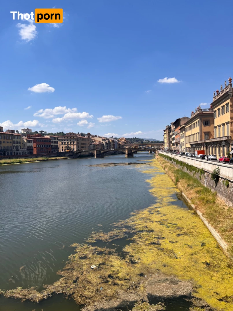 Asian Smart Soles 10503585