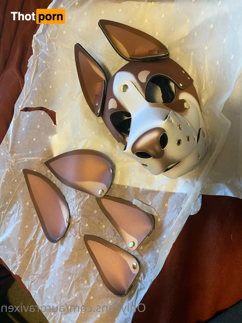 🌿FloralVixen🦊 7625820