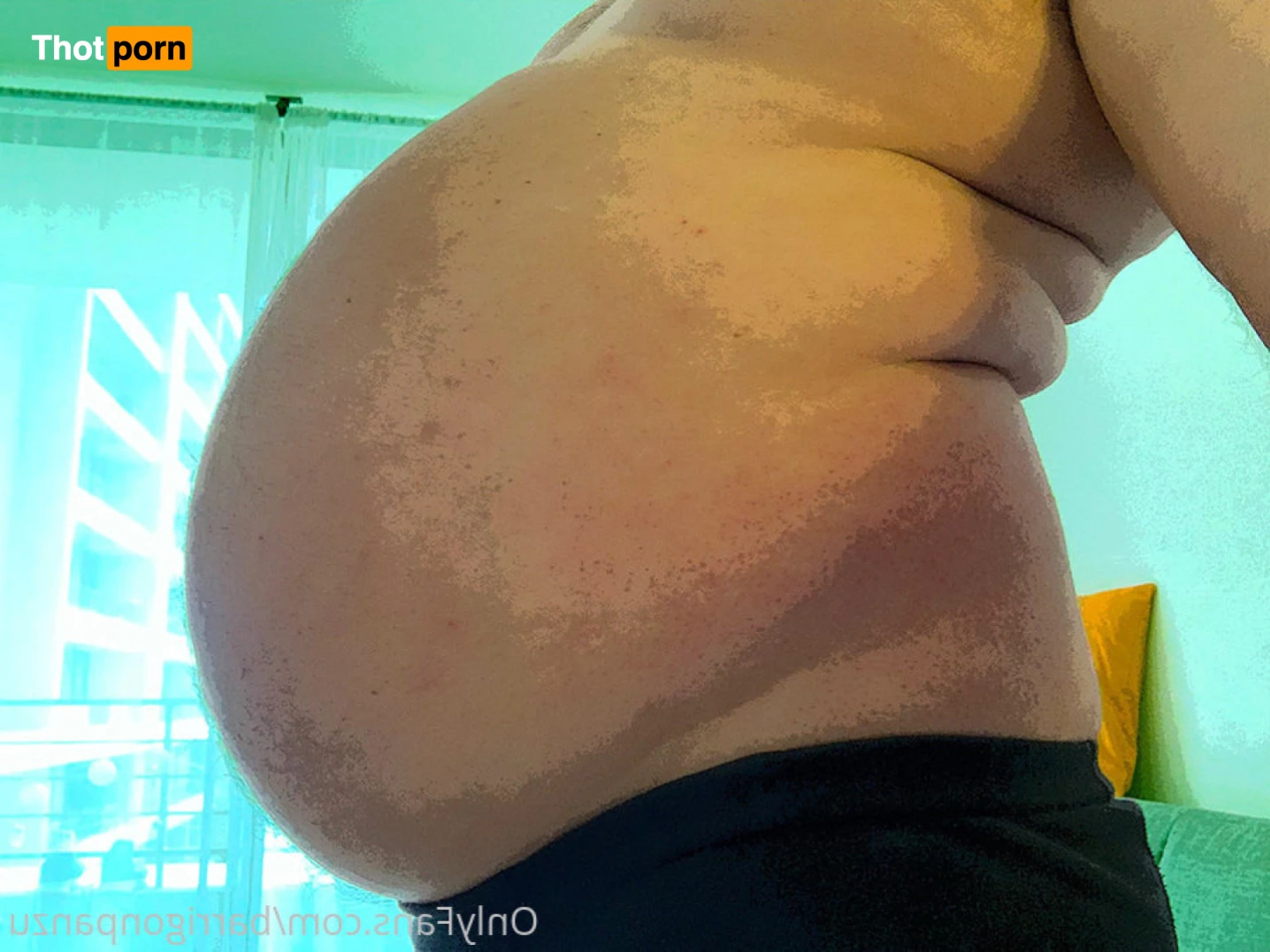 barrigOnpanzu 7621542