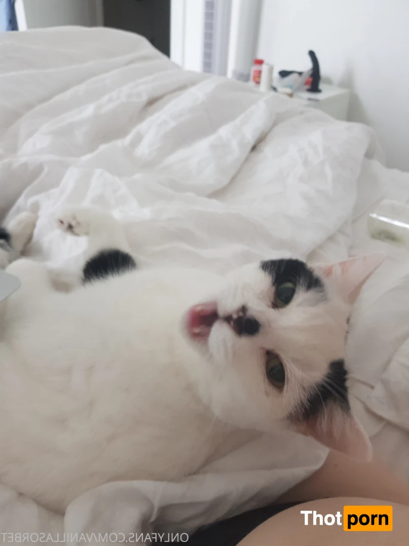 𝕮𝖆𝖑𝖑𝖎𝖊 💀 Alt/Goth Babe 🖤🤍 14836463