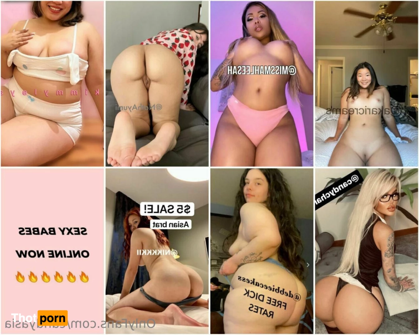 𝗖𝗔𝗡𝗗𝗬 𝗧𝗦 𝗔𝗦𝗜𝗔𝗡 🏳️‍🌈 10728886