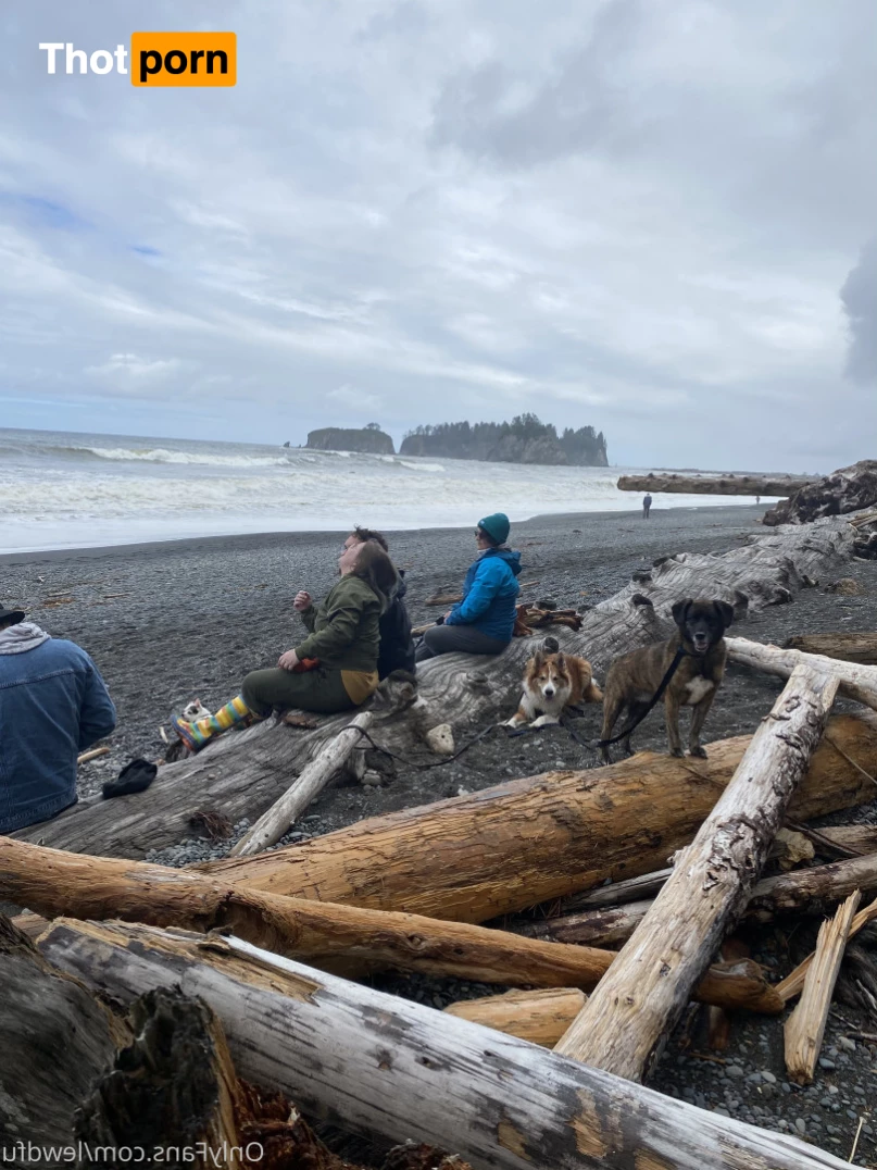 catscosplays 6453123