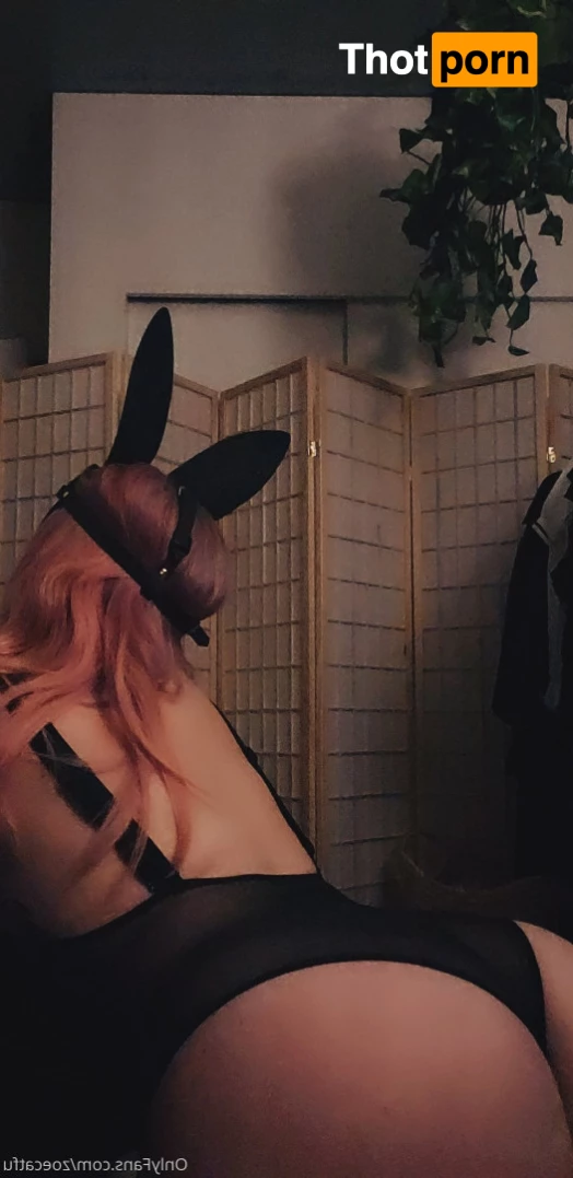 catscosplays 6453132