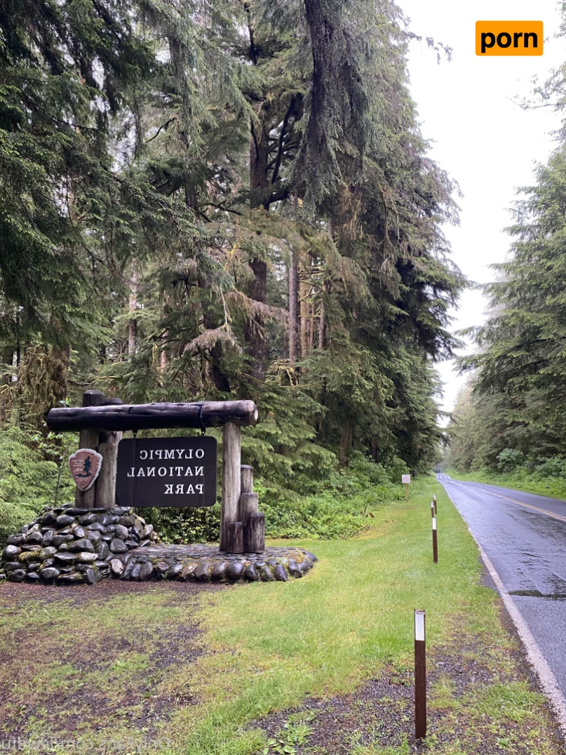 catscosplays 6453146