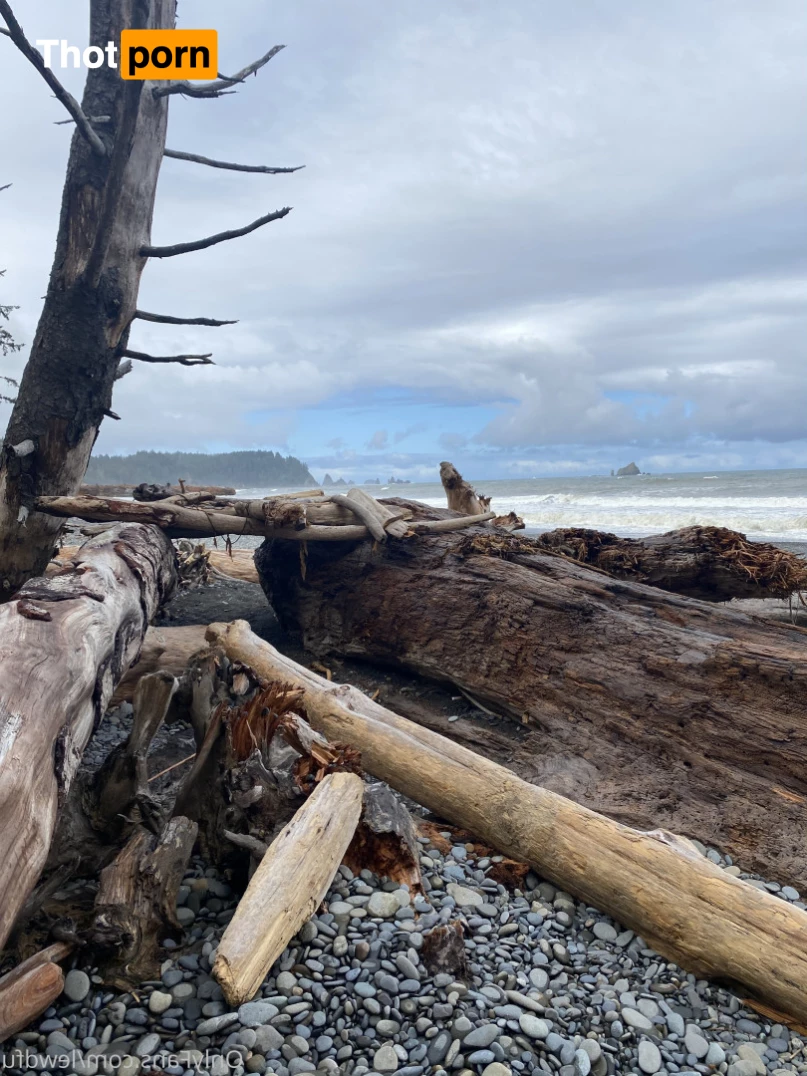 catscosplays 6453197