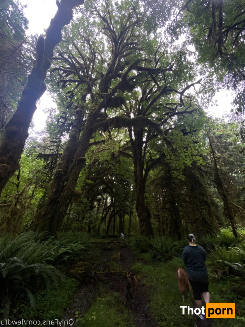 catscosplays 6453368