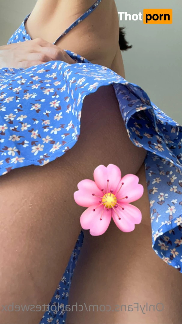 Its Charlotte 7241105