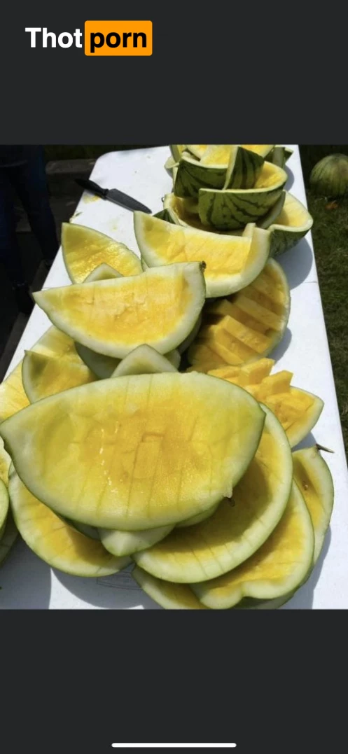 Jasamine Banks 534736