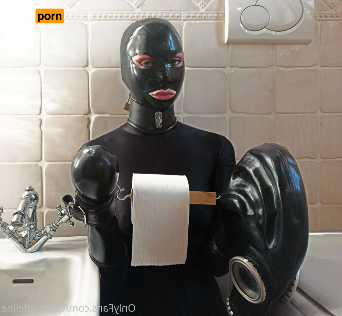 Collaredfeline 7390877