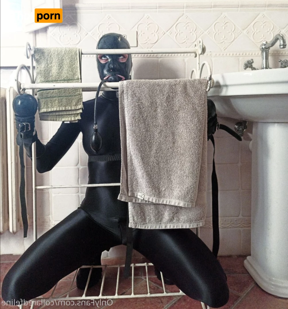 Collaredfeline 7390932