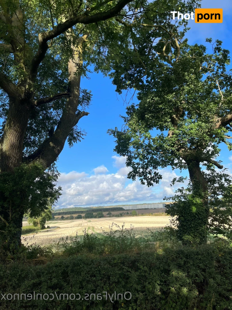 Connor Lennox 7675591