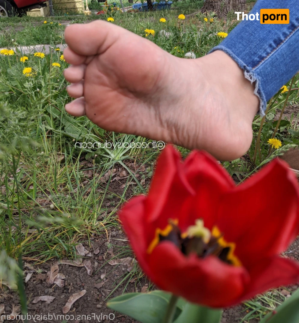 Daisy Duncan 13805768