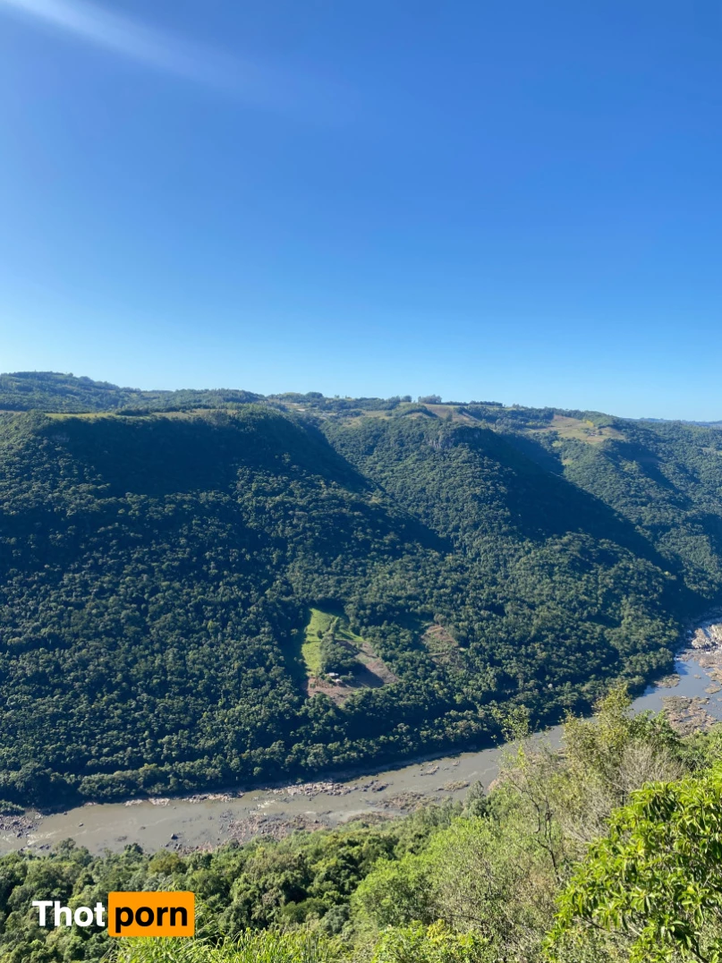 Danielle Vedovelli 🌸 7544489