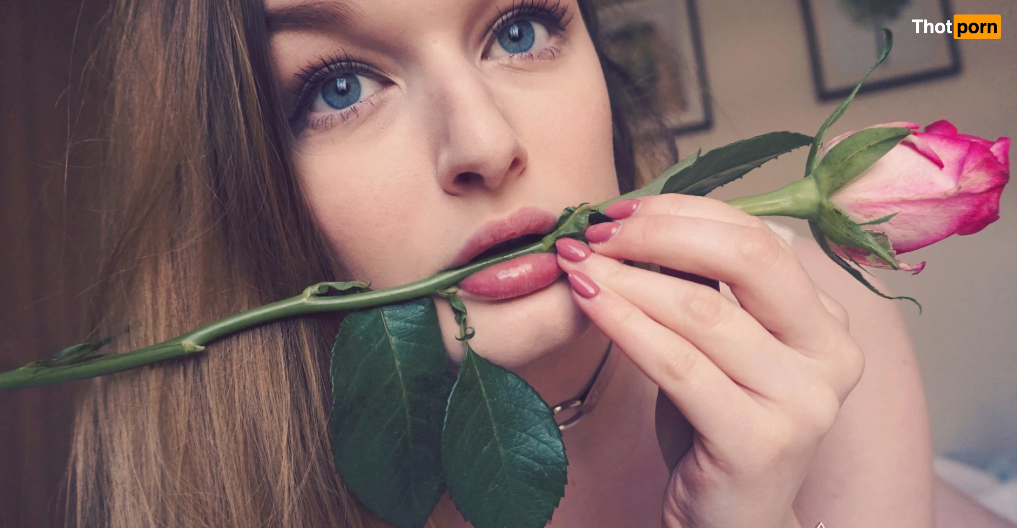 Darcy James | 🄵🅁🄴🄴 10241592