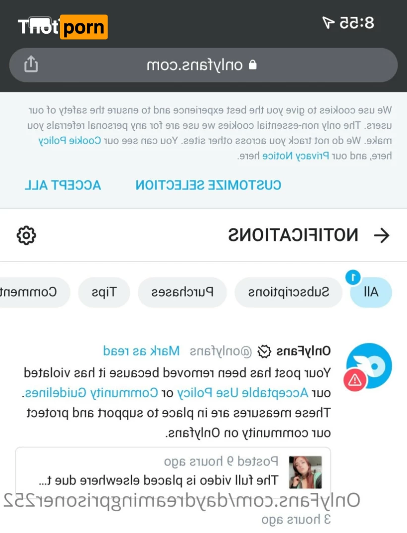 ✨Daydreamer🧚🏻‍♀️ 7387028