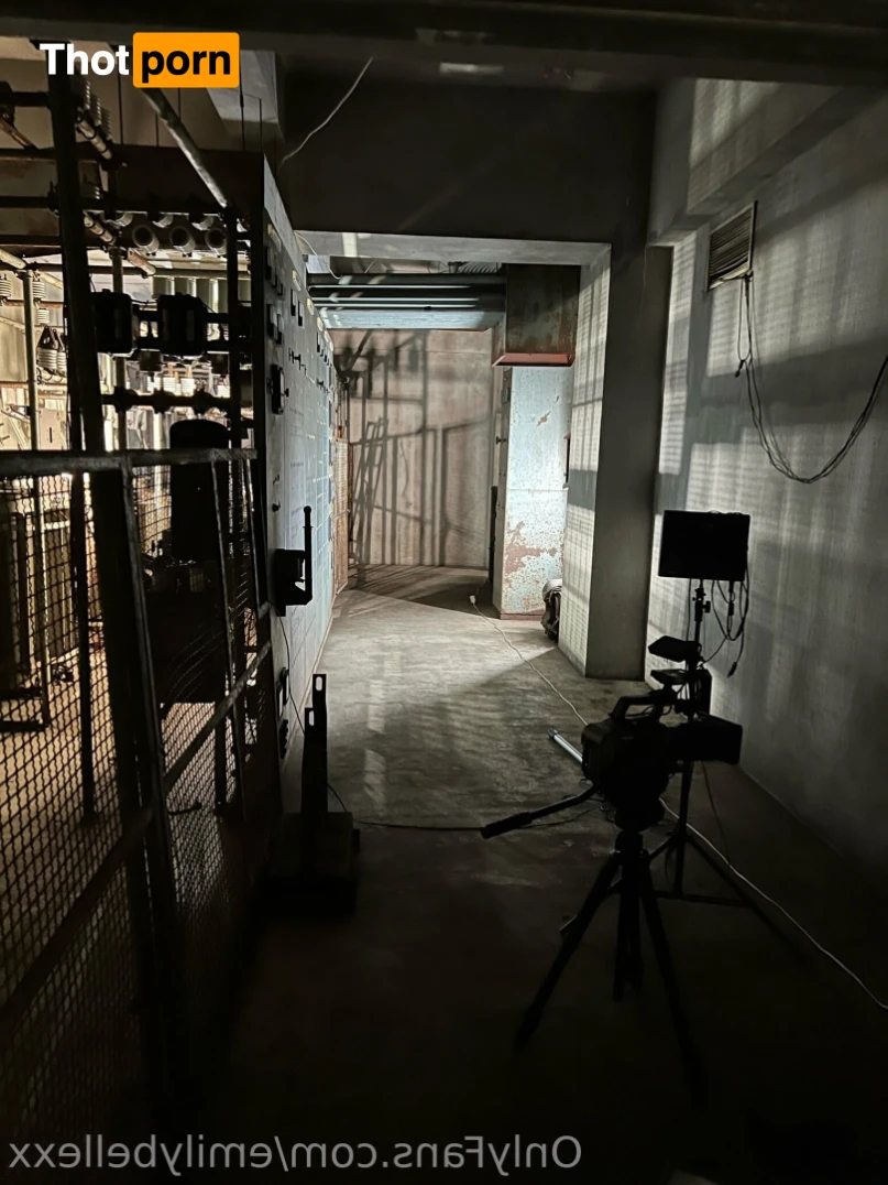 Emily Bellexx 14738411