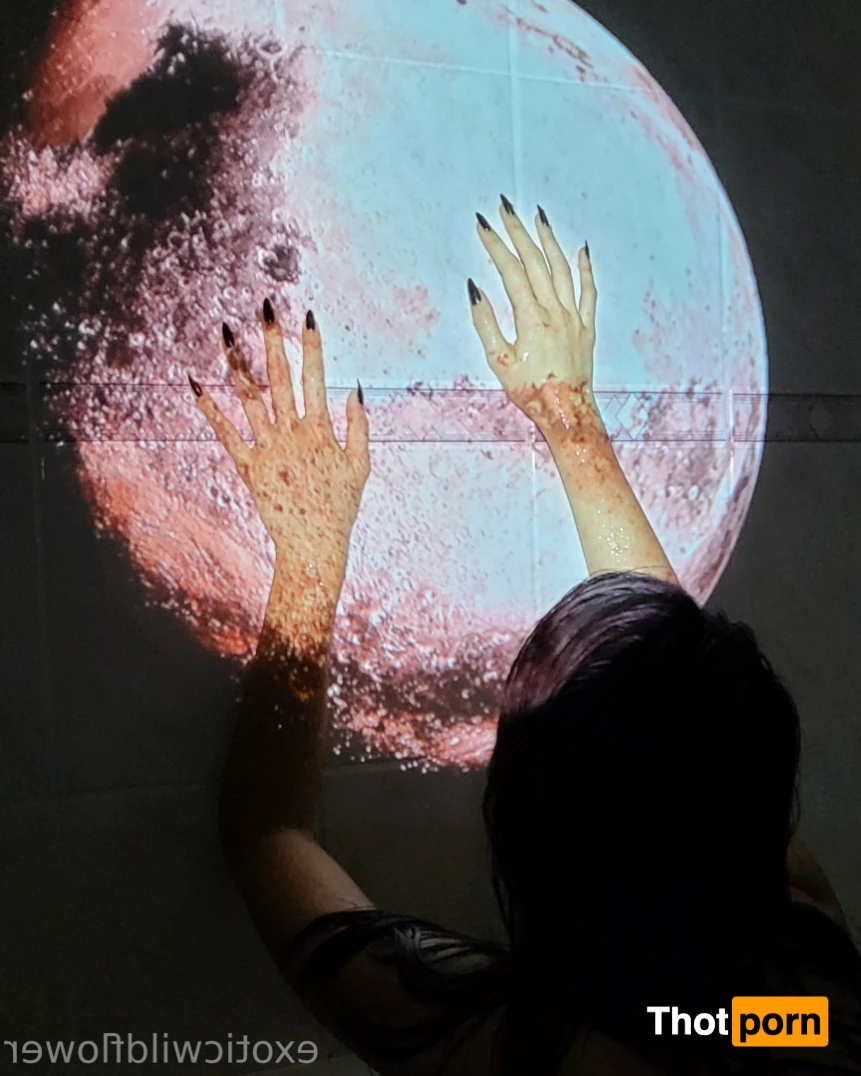 Nothing for sale ⚠️༺.°• 𝑷𝒉𝒖𝒐𝒏𝒈-𝑻𝒉𝒂𝒐 •°.༻ 14536790