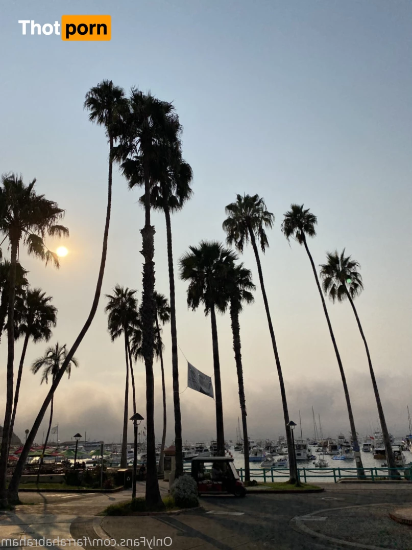 FARRAH ABRAHAM 9061310