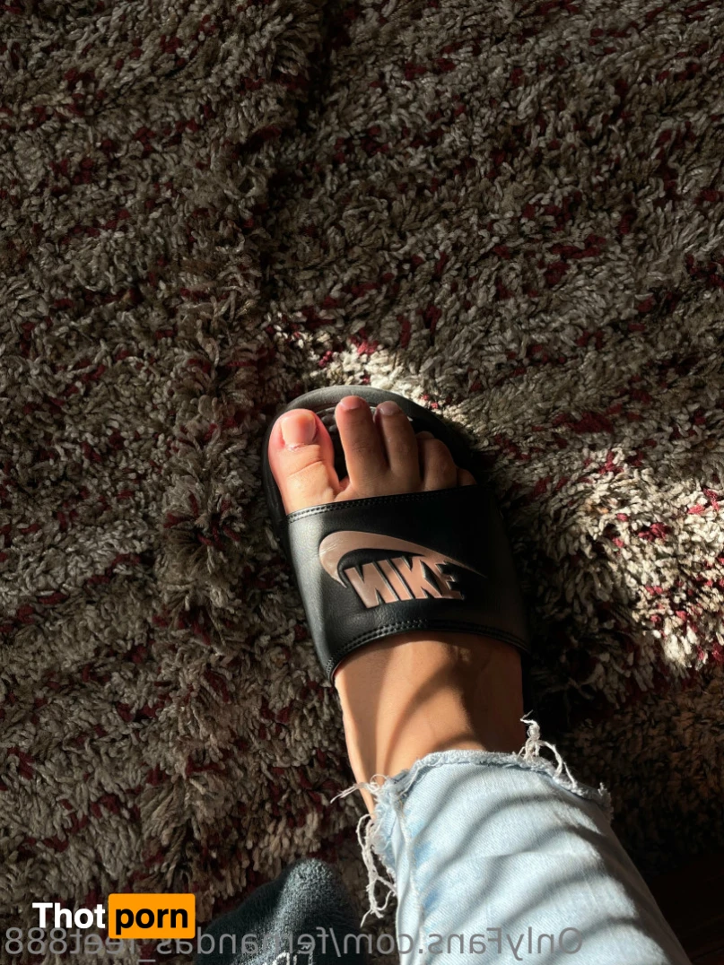 Fernanda✨ 13725487