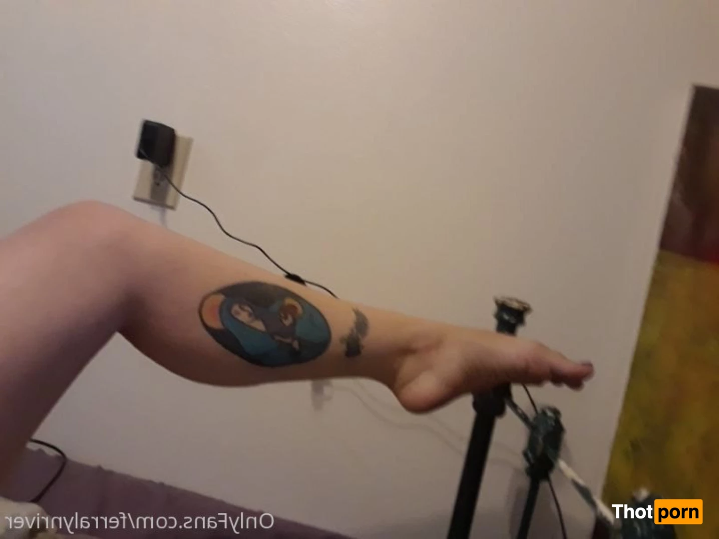 Ferralynriver 7091356