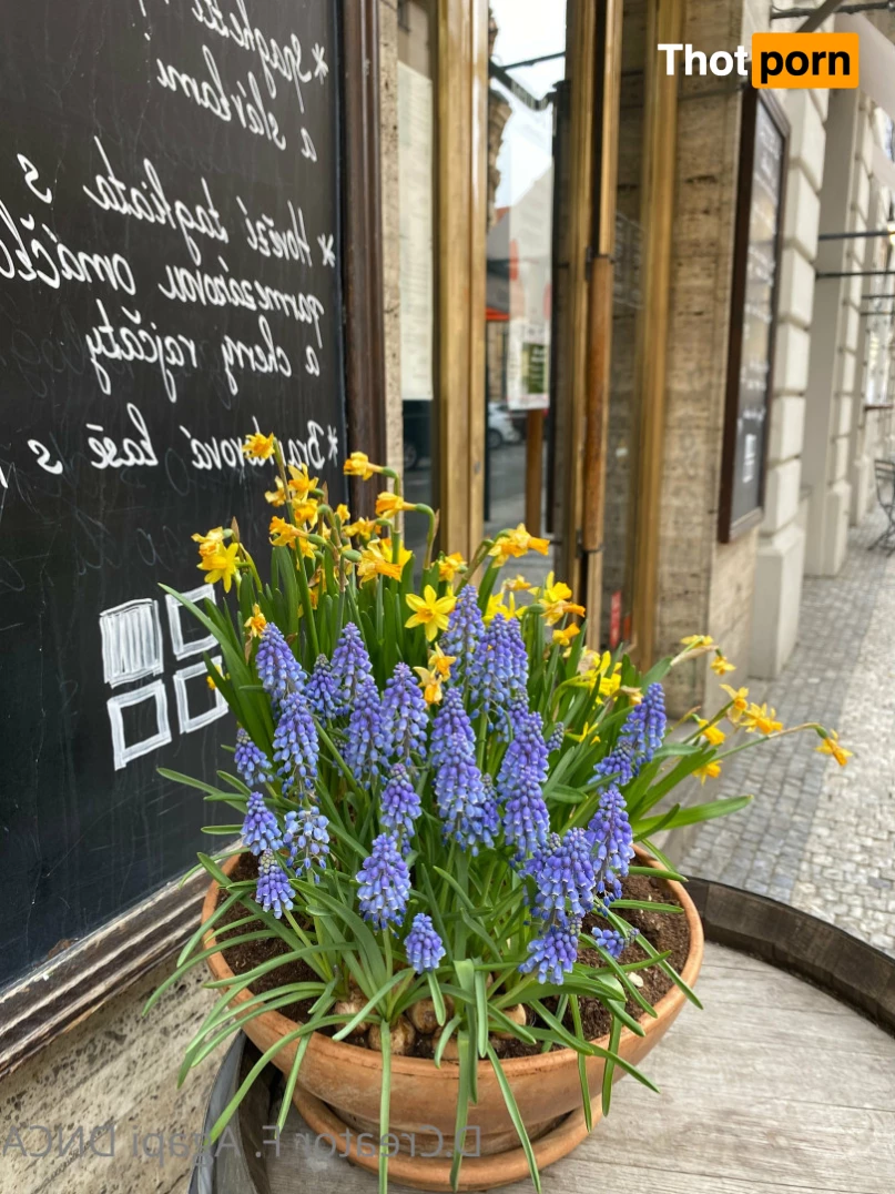 Florence Agapi 7505258