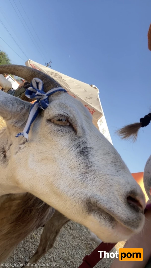 Florence Agapi 7505536