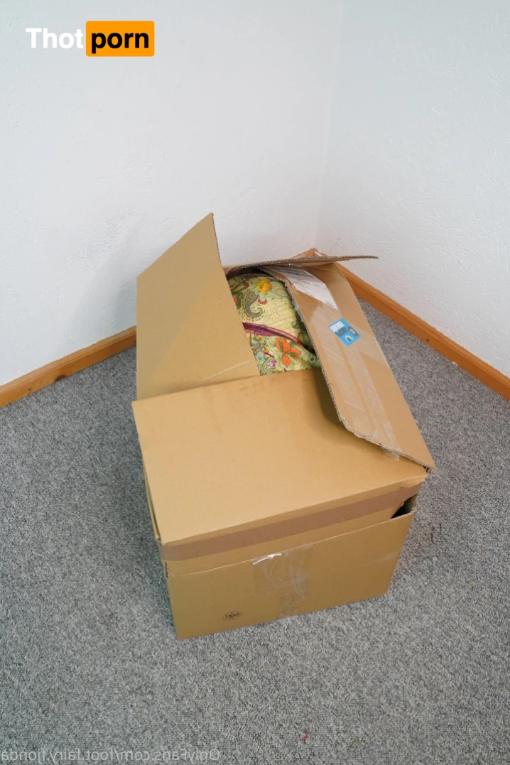 freakyfjonda 13716406