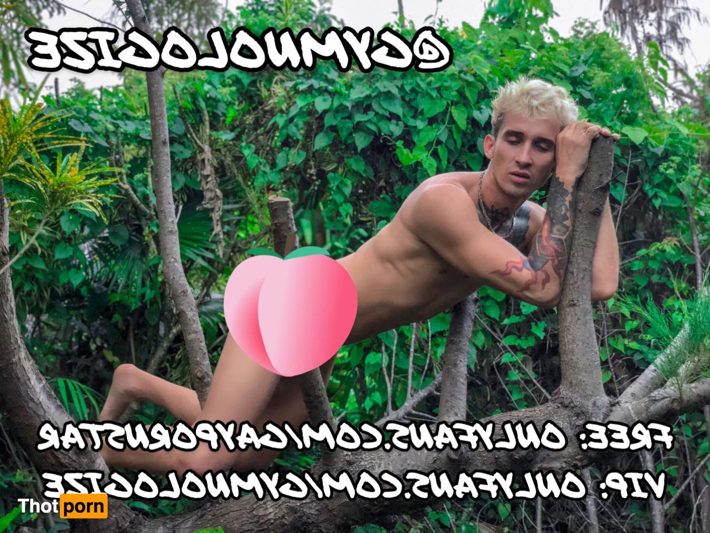 FREE GAY ONLYFANS • DENNIS NICKOLERO 7521793