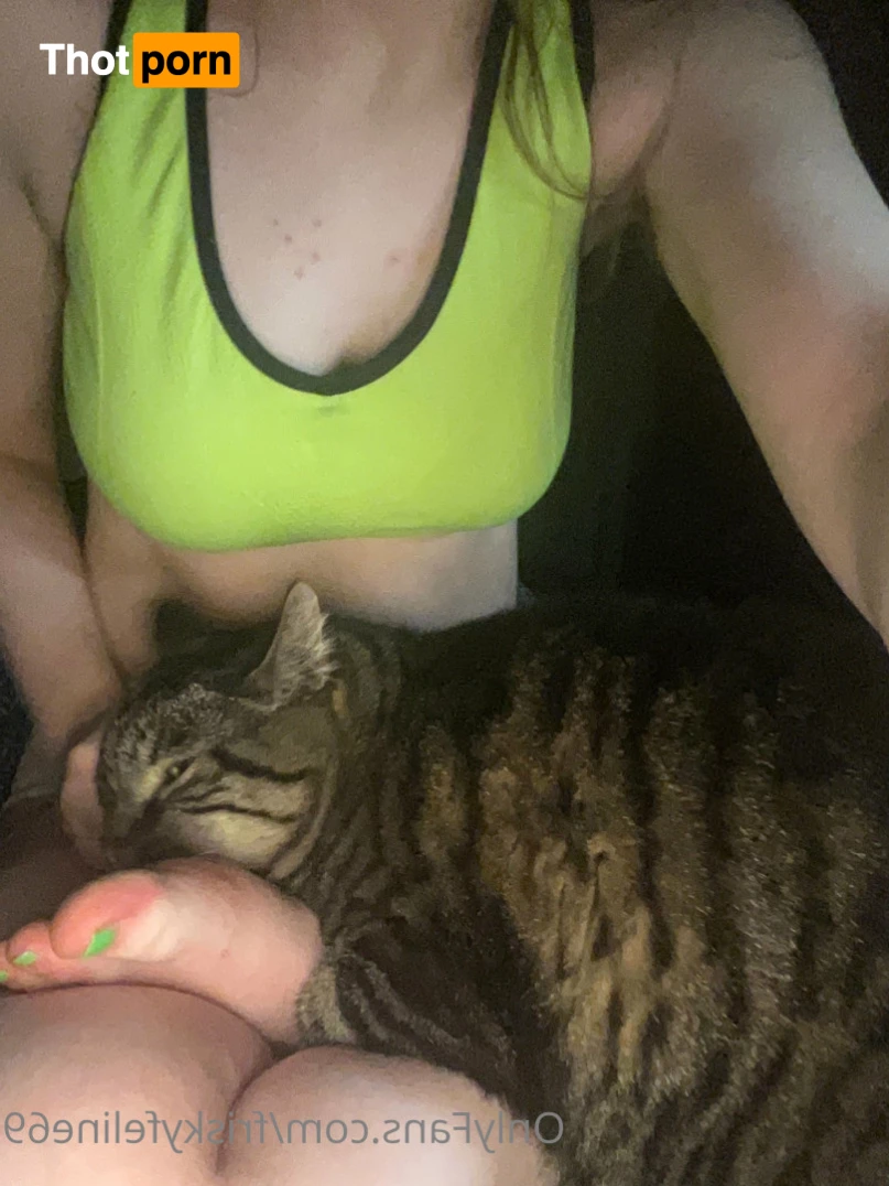 THE frisky feline 7066188