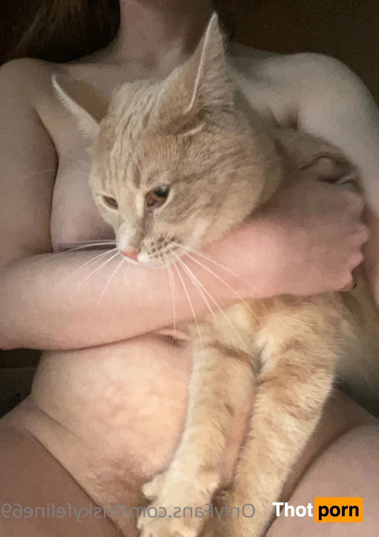 THE frisky feline 7066207