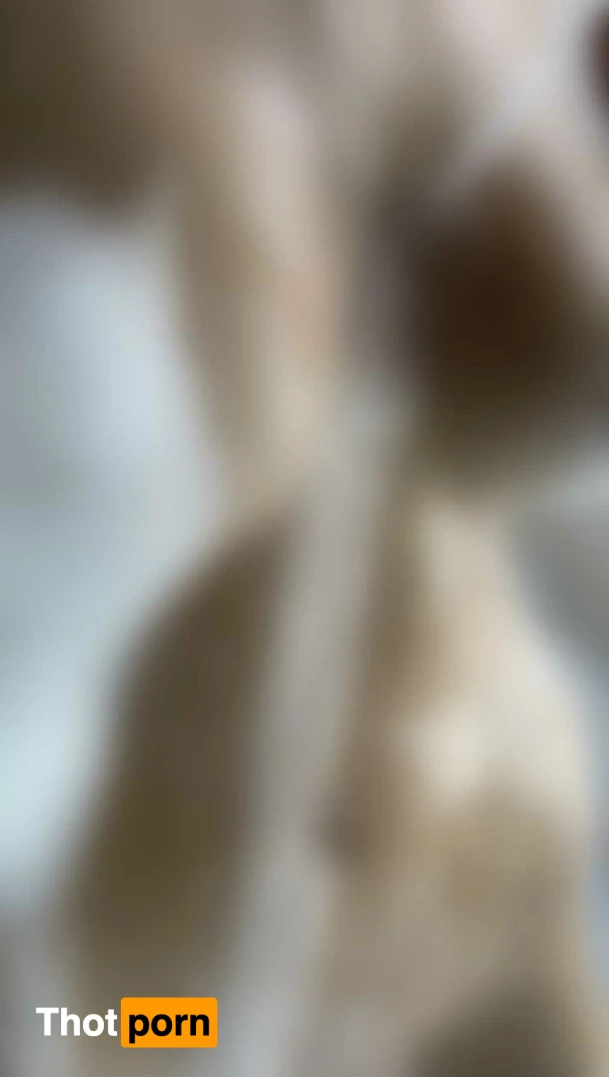 Gingery shoot 10477596