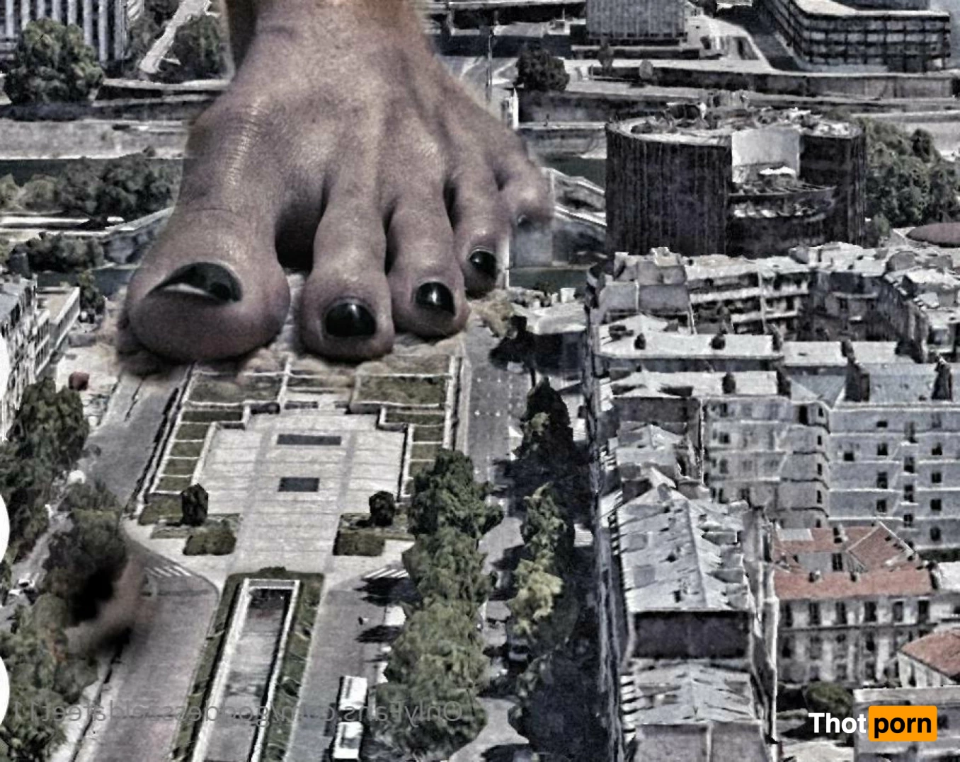 GoddessZelda-size 11 7231329