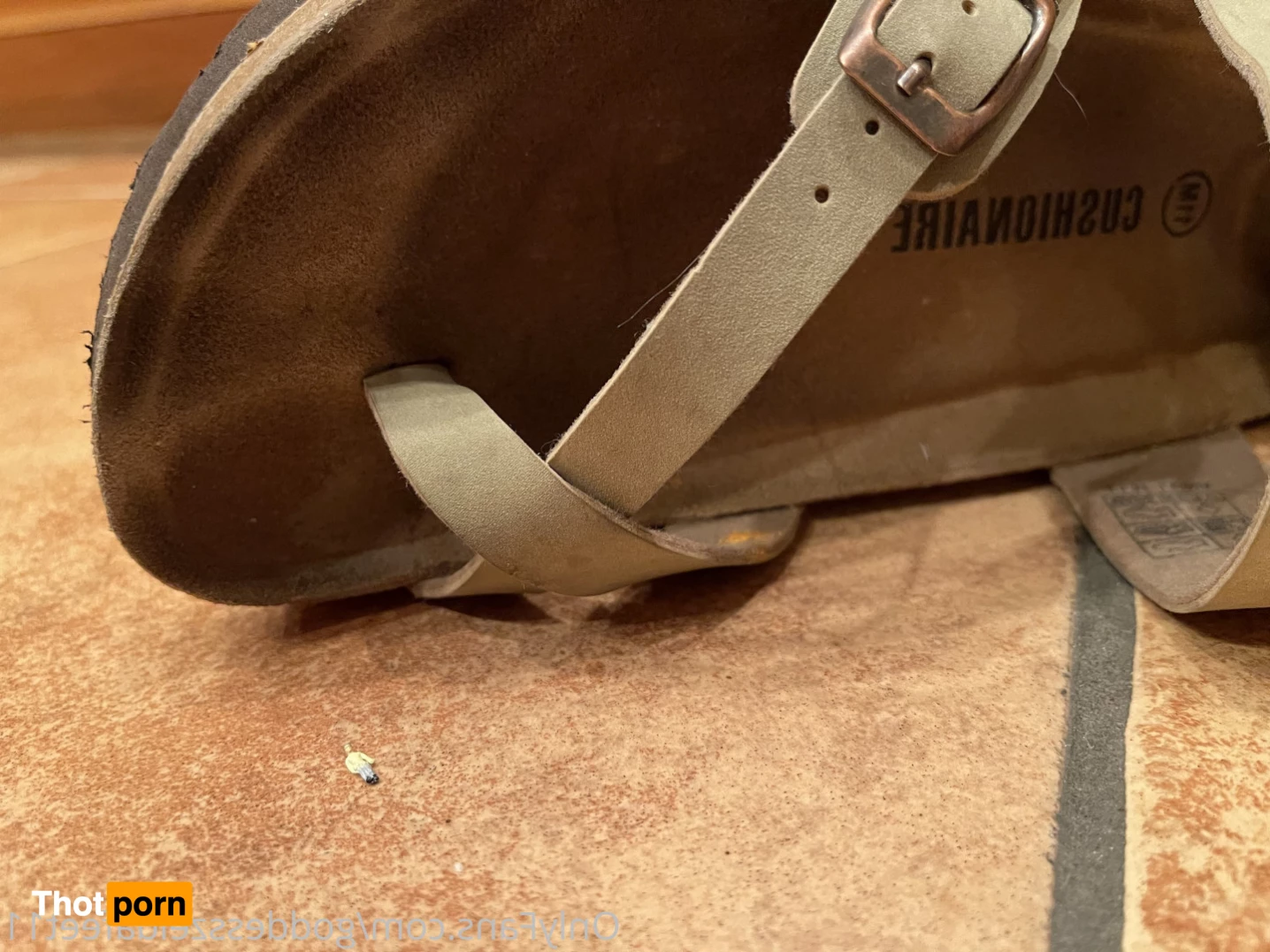 GoddessZelda-size 11 7231415