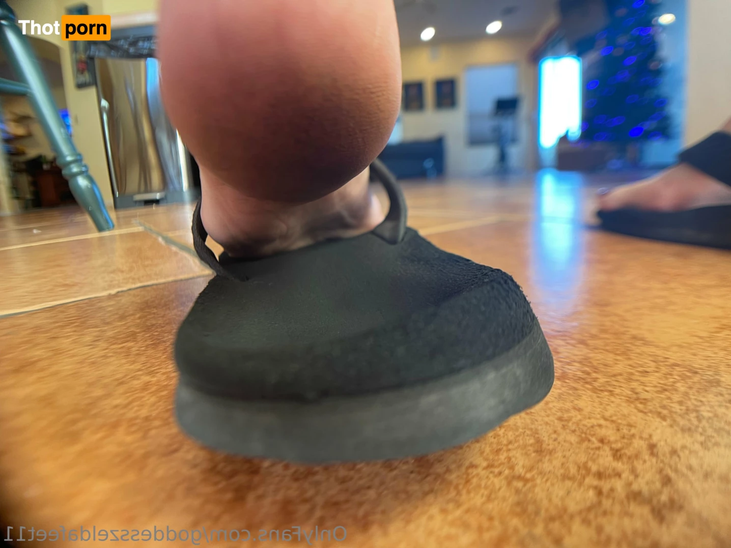 GoddessZelda-size 11 7231457