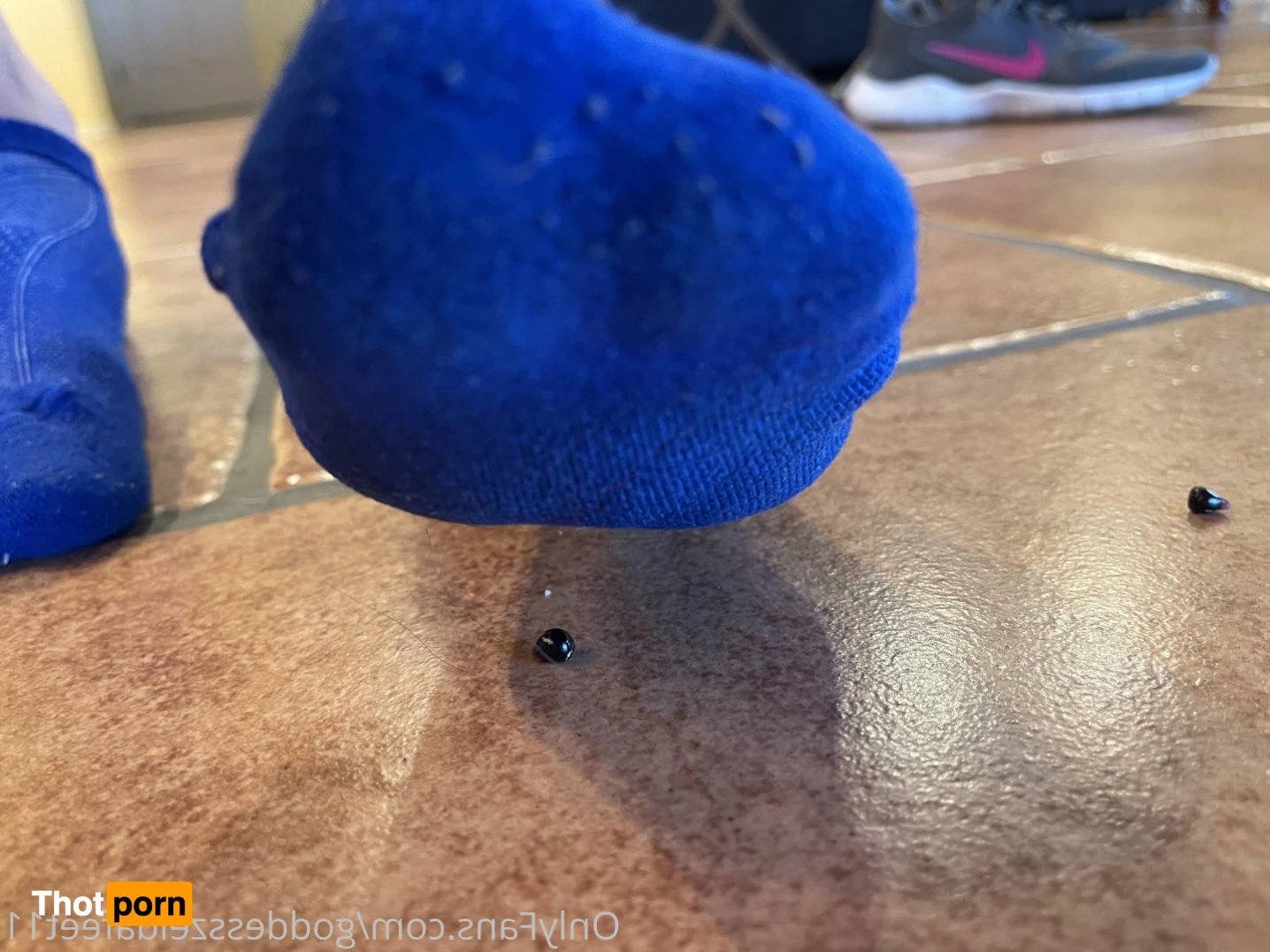 GoddessZelda-size 11 7231468