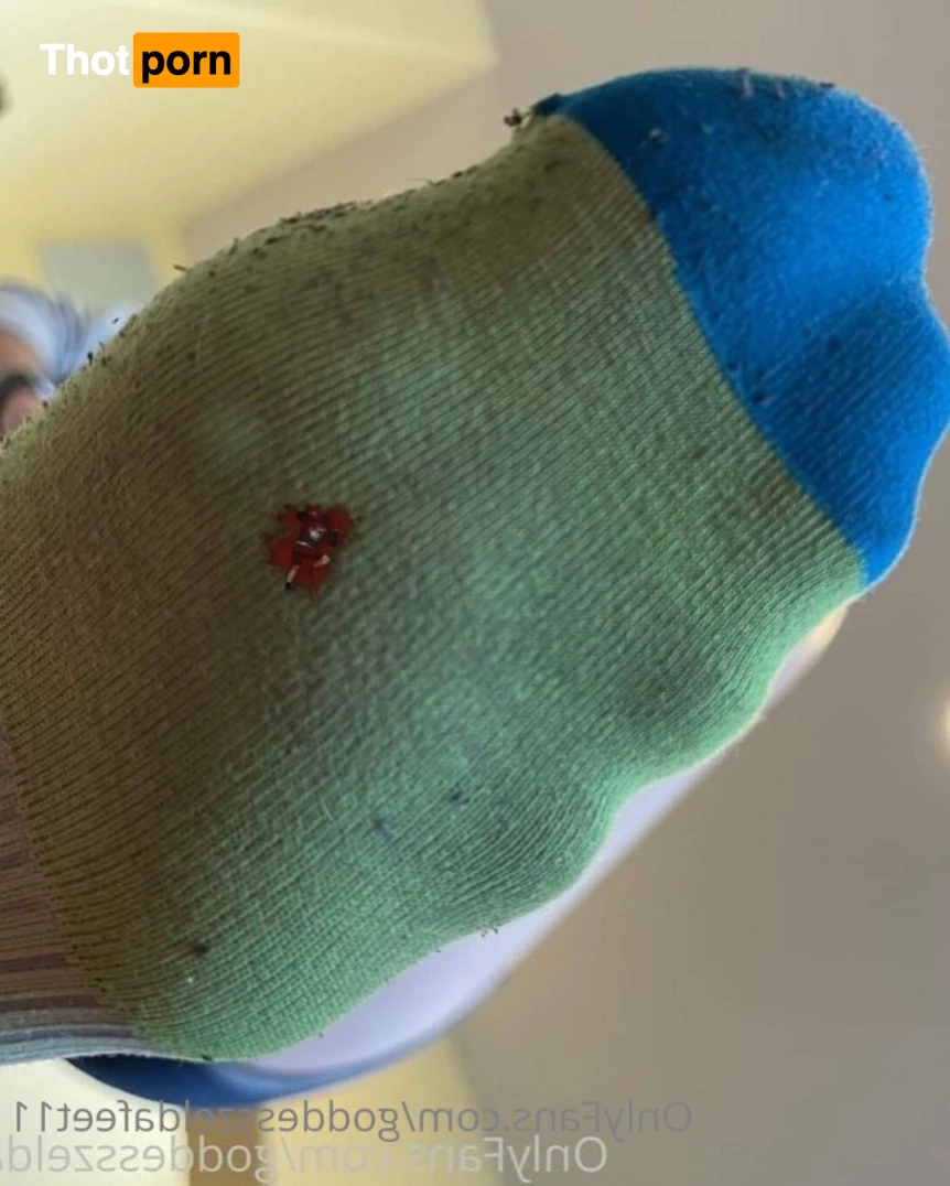 GoddessZelda-size 11 7231673