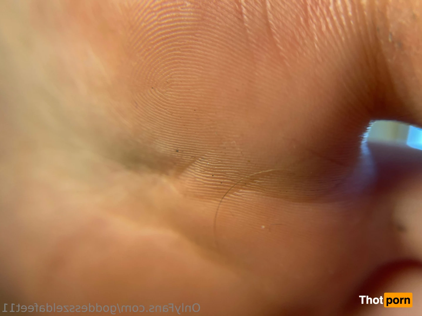 GoddessZelda-size 11 7231775