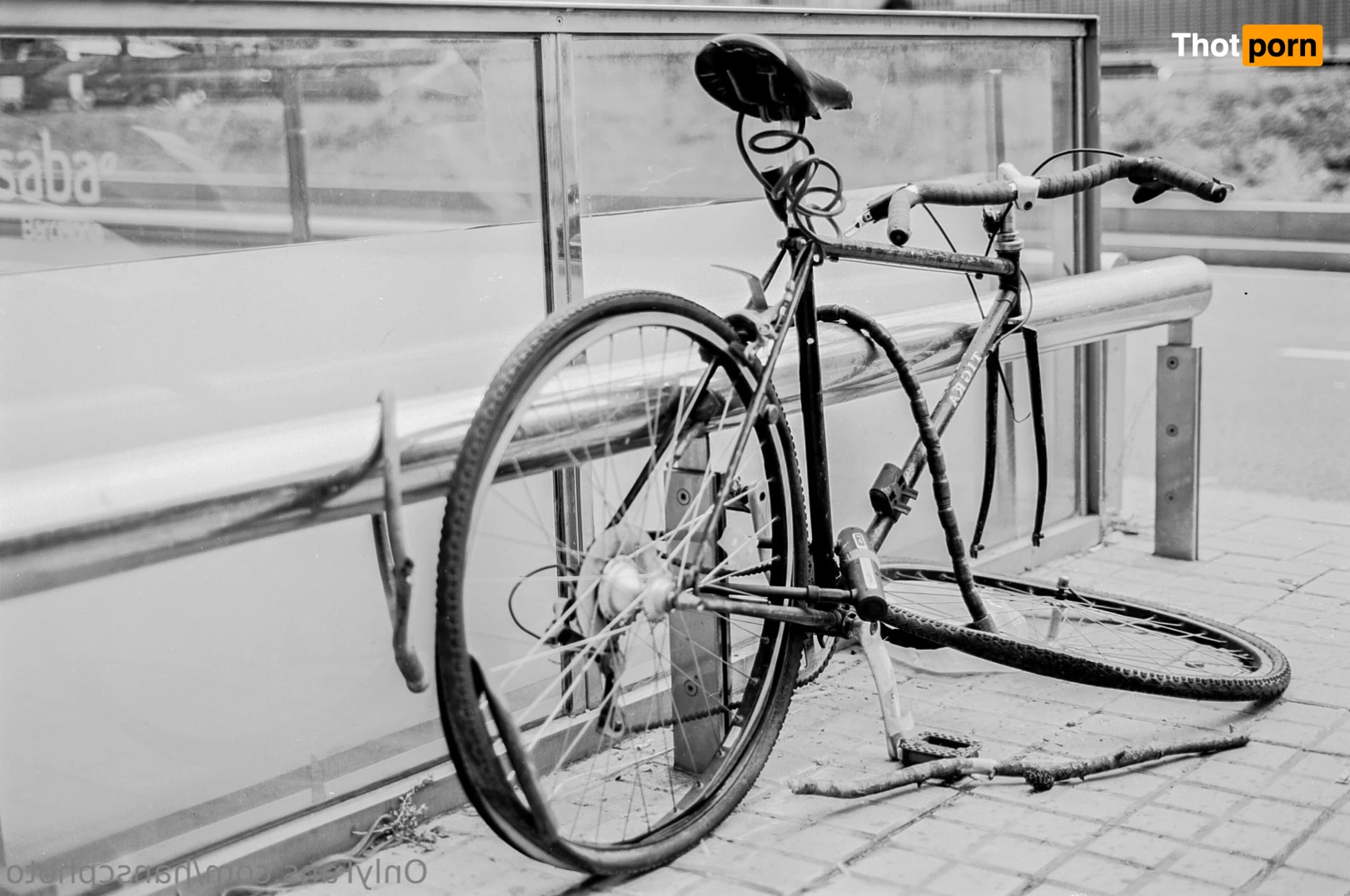 Hans C Photography 10492247