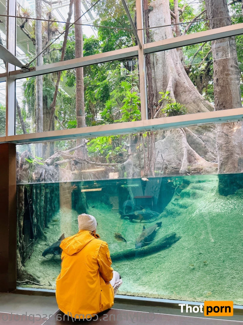 Hans C Photography 10492261